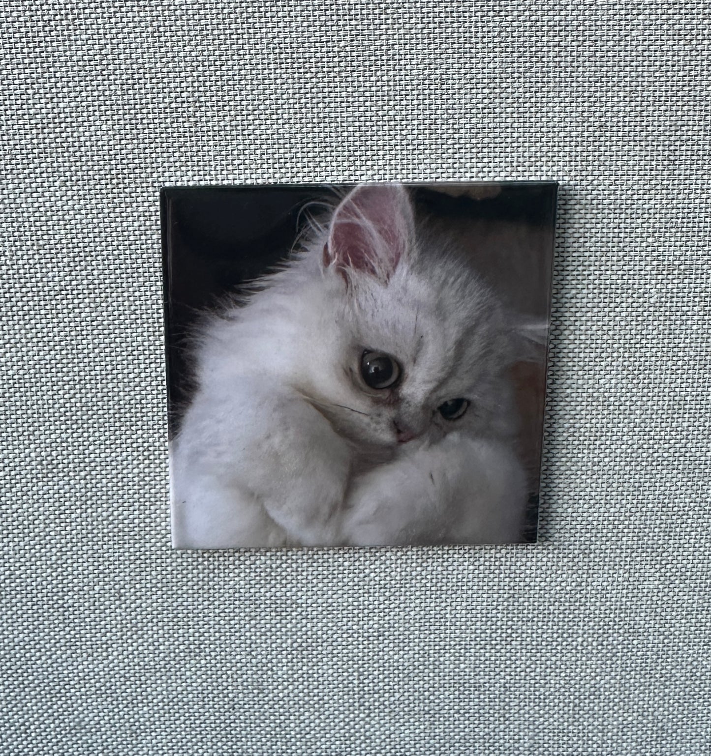 Pet Photo Magnets | Custom Dog Cat Fridge Magnet | Pet Memorial Keepsake | UK Made