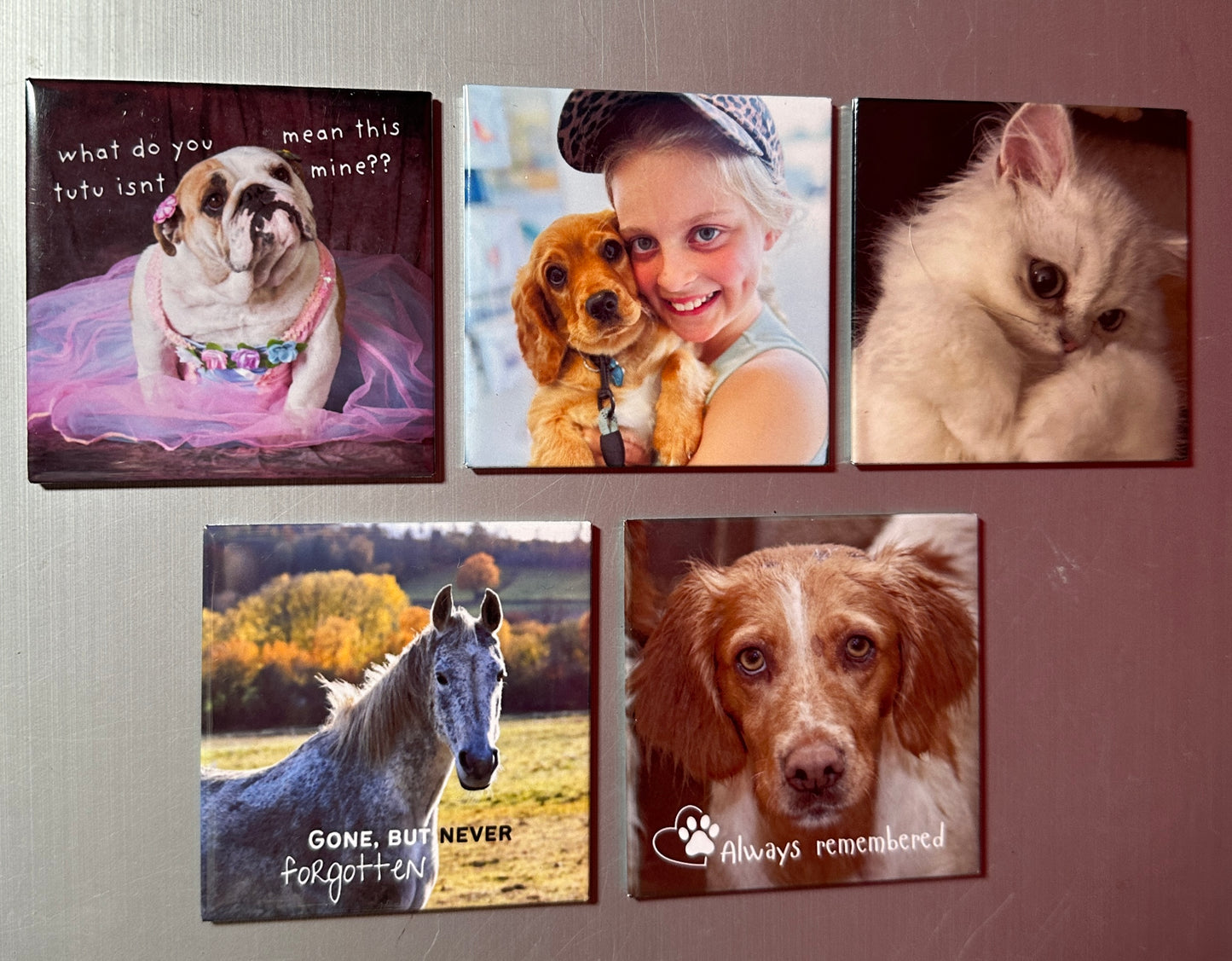 Pet Photo Magnets | Custom Dog Cat Fridge Magnet | Pet Memorial Keepsake | UK Made