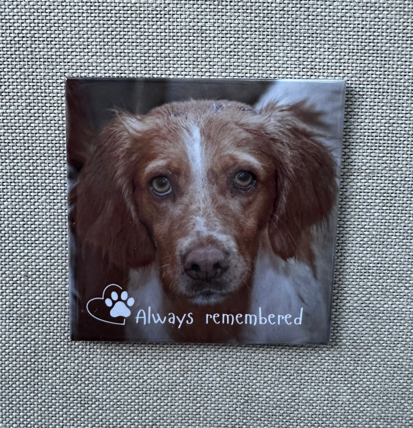 Pet Photo Magnets | Custom Dog Cat Fridge Magnet | Pet Memorial Keepsake | UK Made