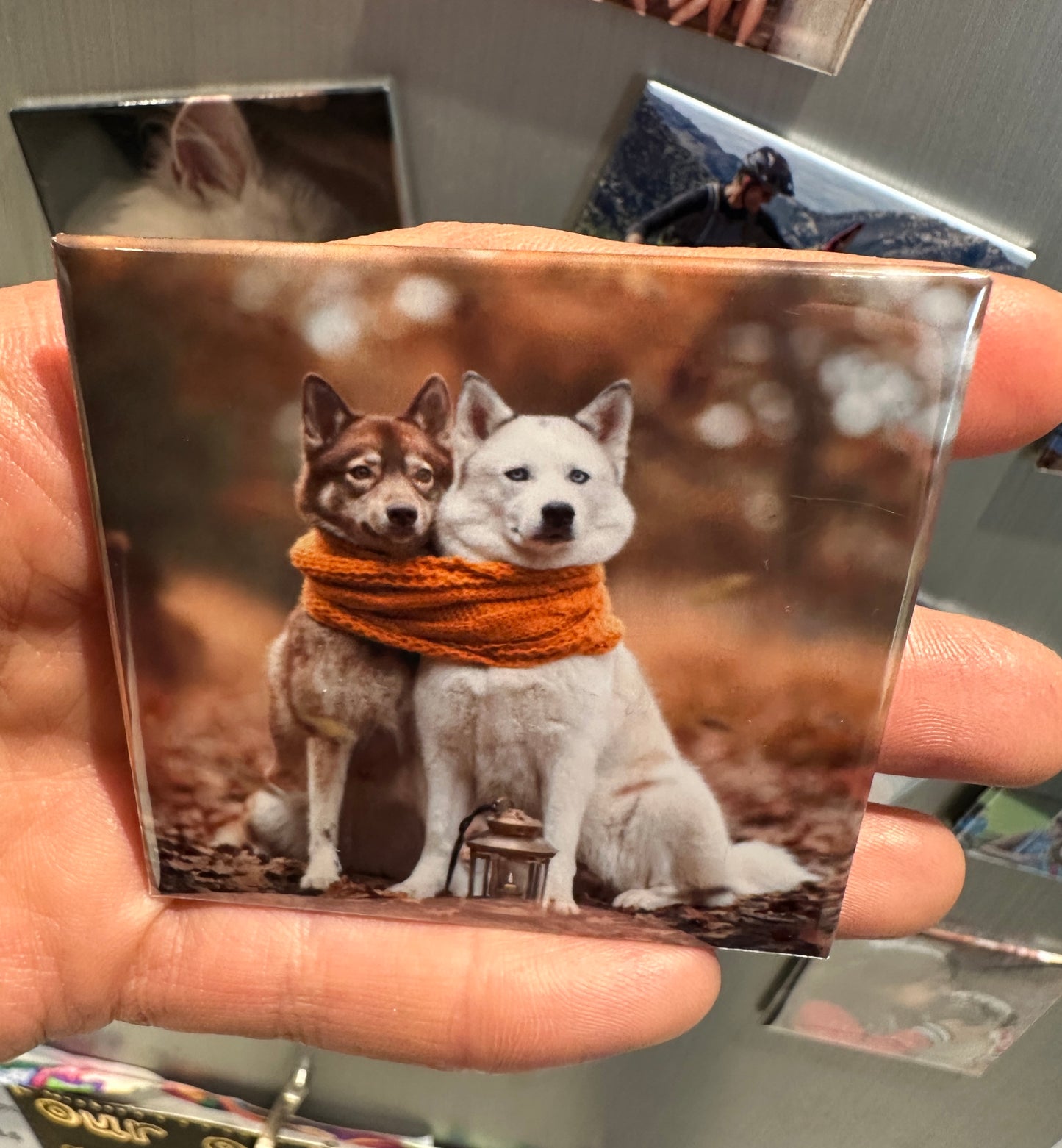 Photo Magnet Set | 6, 9 or 12 Personalised Photo Fridge Magnets | Magnetic Collage Photo Display | UK Made Keepsake